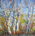 study_of_birch_trees