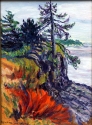 tree_on_the_cliff