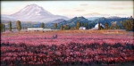 trout_lake_echinacea_fields