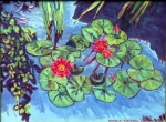 water_lily_with_pond_shadows